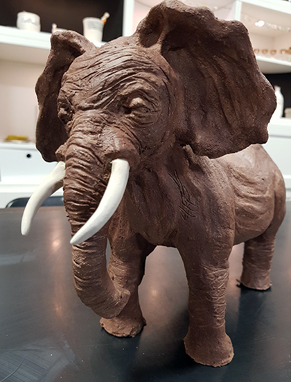 Terre Ceramica e Arte - Lavori degli allievi - Elefante